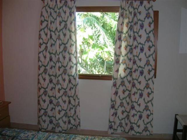 Pension Las Tres Golondrinas Playa DPlaya Des Figueral Rum bild